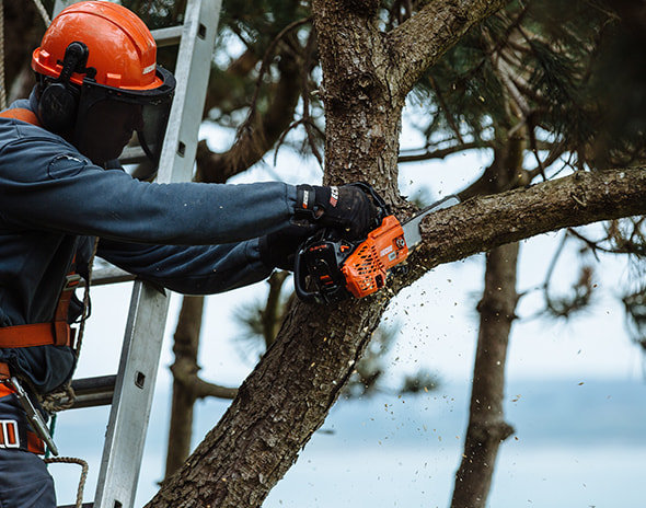 Бензопила Echo CS-2511TES шина 10 дюймов