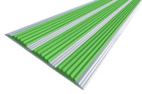 Противоскользящая полоса-порог с тремя вставками 100 мм/5,6 мм зеленая 1 метр