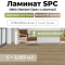 Ламинат SPC водостойкий 43 класс Stella Standart Орех Сливочный 1218 x 180 х 4,3 мм (3,069 кв.м)