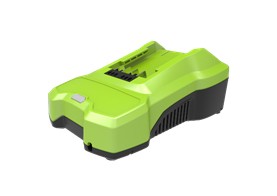 Зарядное устройство Greenworks G24C