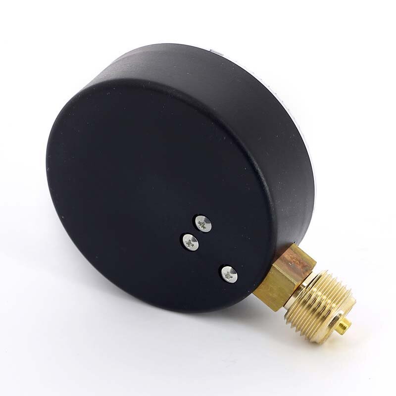 Манометр радиальный F+R200 WATTS Ind 1/2 80 мм 25 бар